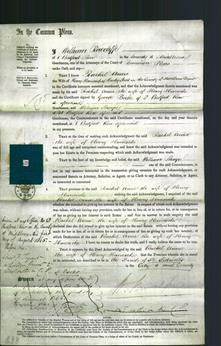 Court of Common Pleas - Rachel Anne Hancock-Original Ancestry