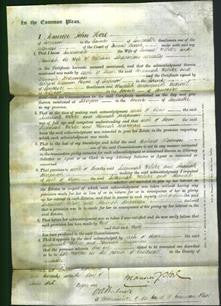 Court of Common Pleas - Susannah Webster and Hannah Knapman-Original Ancestry