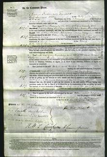 Court of Common Pleas - Helen Knowsley and Cecilia Mary Stanbury-Original Ancestry