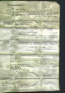 Court of Common Pleas - Mary Ann Rowe-Original Ancestry