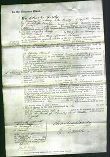 Court of Common Pleas - Sarah Penney-Original Ancestry