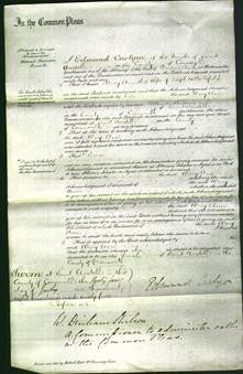 Court of Common Pleas - Mary Ann Drifield-Original Ancestry