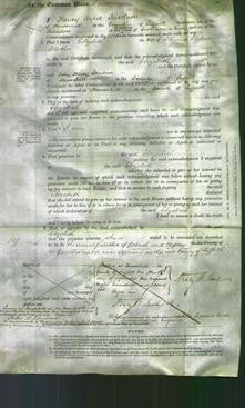 Court of Common Pleas - Elizabeth Flather-Original Ancestry