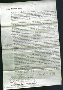 Court of Common Pleas - Frances Ann Harrison-Original Ancestry