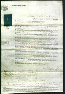 Court of Common Pleas - Ann Stephenson-Original Ancestry