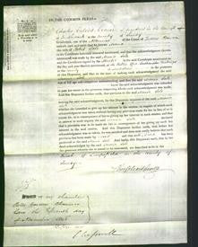 Court of Common Pleas - Maria Sale-Original Ancestry