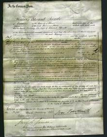 Court of Common Pleas - Fanny Yarde-Original Ancestry