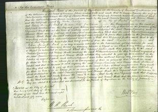 Court of Common Pleas - Frances Gunning and Eleanor Heale-Original Ancestry