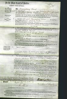 Court of Common Pleas - Amelia Adelaide Munn-Original Ancestry