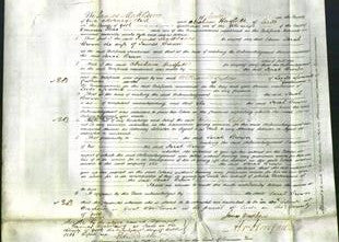 Court of Common Pleas - Sarah Brown-Original Ancestry