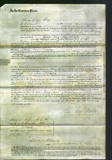 Court of Common Pleas - Mary Ann Midgley-Original Ancestry