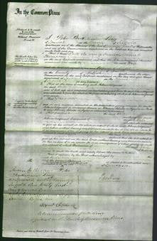 Court of Common Pleas - Kate Thompson-Original Ancestry