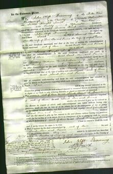 Court of Common Pleas - Sarah Nicholls, Ann Lee and Emma Davis-Original Ancestry