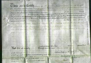 Deed by Married Women - Phoebe Bott-Original Ancestry