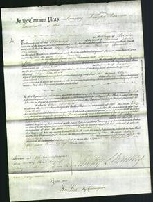 Court of Common Pleas - Eliza Bacchus-Original Ancestry