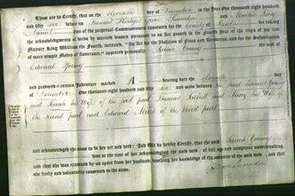 Deed by Married Women - Sarah Young-Original Ancestry