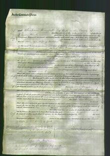 Court of Common Pleas - Ann Briggs-Original Ancestry