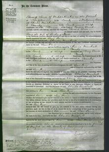 Court of Common Pleas - Jane Price-Original Ancestry