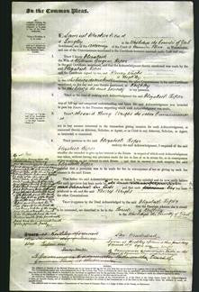 Court of Common Pleas - Elizabeth Roper-Original Ancestry
