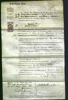 Court of Common Pleas - Elizabeth Harriet Robbins-Original Ancestry