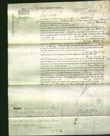 Court of Common Pleas - Mary Wakeley-Original Ancestry