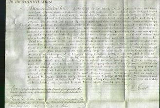 Court of Common Pleas - Mary Ferguson-Original Ancestry