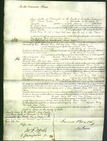 Court of Common Pleas - Mary Holt and Ann Dobson-Original Ancestry