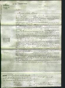Court of Common Pleas - Ann Elizabeth Vokes-Original Ancestry