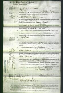 Court of Common Pleas - Ellen Botham-Original Ancestry