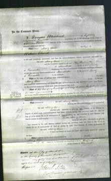 Court of Common Pleas - Mary Ann Cleworth-Original Ancestry