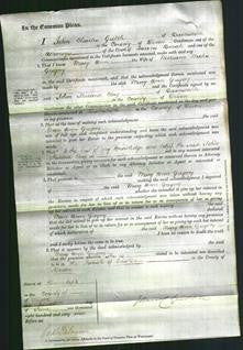 Court of Common Pleas - Mary Ann Gregory-Original Ancestry