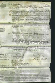 Court of Common Pleas - Charlotte Pope, Isabella Masters-Original Ancestry