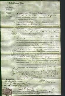 Court of Common Pleas - Isabella Anne Rowland-Original Ancestry