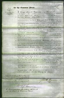 Court of Common Pleas - Anne Elizabeth Wansley-Original Ancestry