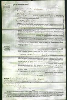 Court of Common Pleas - Margaret Hardiker-Original Ancestry