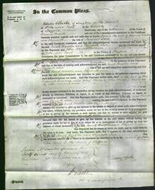 Court of Common Pleas - Sarah Boulton and Elizabeth Lowe-Original Ancestry