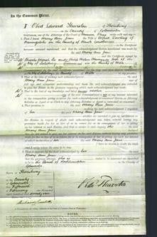 Court of Common Pleas - Mary Ann Jane Dowling-Original Ancestry