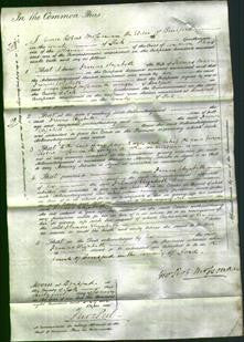 Court of Common Pleas - Frances Elizabeth Marr-Original Ancestry