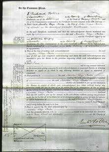 Court of Common Pleas - Martha Eliza Bates-Original Ancestry