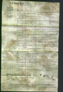 Court of Common Pleas - Mary Johnson