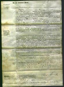 Court of Common Pleas - Ann Eliza Arkwright-Original Ancestry