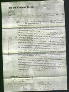 Court of Common Pleas - Louisa Coles-Original Ancestry