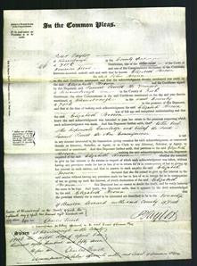 Court of Common Pleas - Elizabeth Brown-Original Ancestry