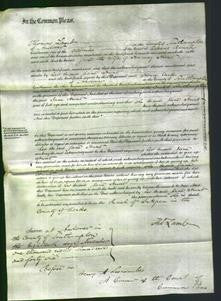 Court of Common Pleas - Jane Hunt-Original Ancestry