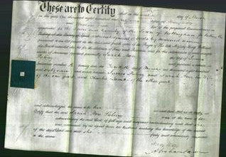 Deed by Married Women - Sarah Ann Paling-Original Ancestry