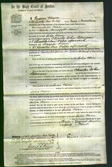 Court of Common Pleas - Julia Warre-Original Ancestry