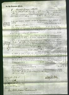 Court of Common Pleas - Selina Mary Westlake-Original Ancestry