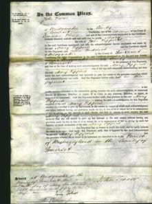 Court of Common Pleas - Mary Pepperd-Original Ancestry