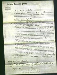 Court of Common Pleas - Louisa Griffith-Original Ancestry