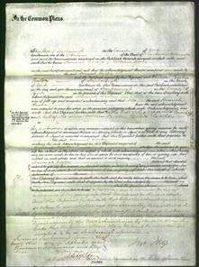 Court of Common Pleas - Hannah Cooke-Original Ancestry